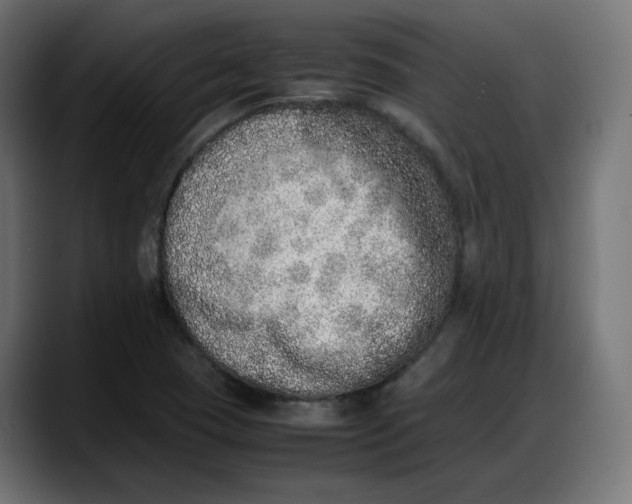 X0000087751409200705291024