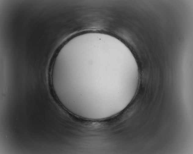 X0000087751412200705291024