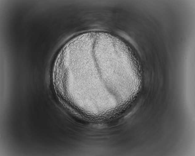 X0000087751415200705291024