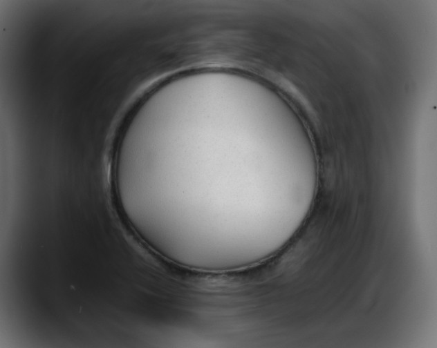 X0000087751416200705291024