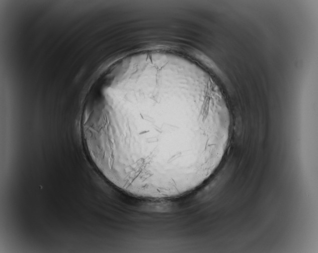 X0000087751417200705291024