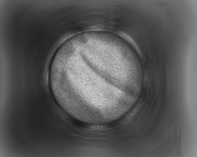 X0000087751419200705291024