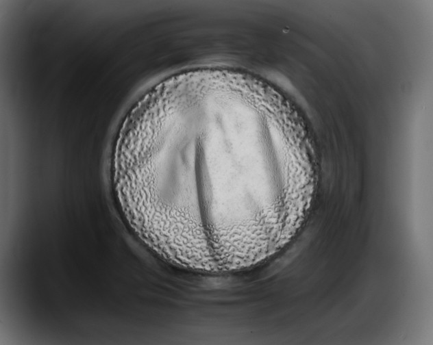 X0000087751421200705291024