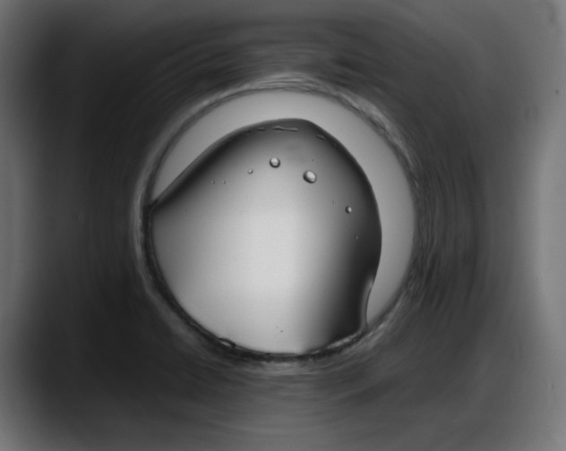 X0000087751422200705291024