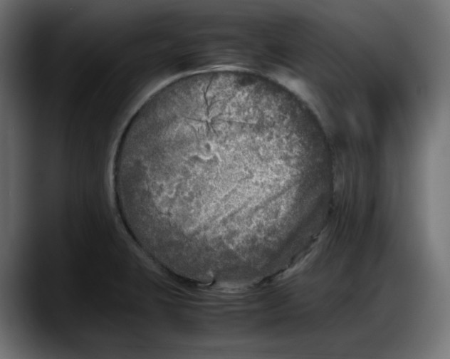 X0000087751423200705291024