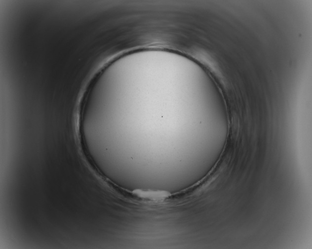 X0000087751424200705291024