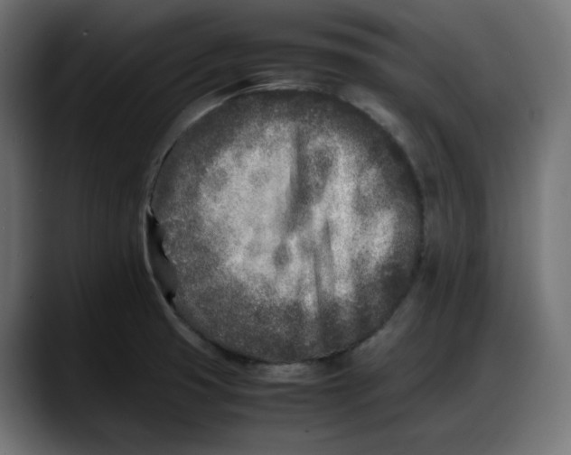 X0000087751425200705291024