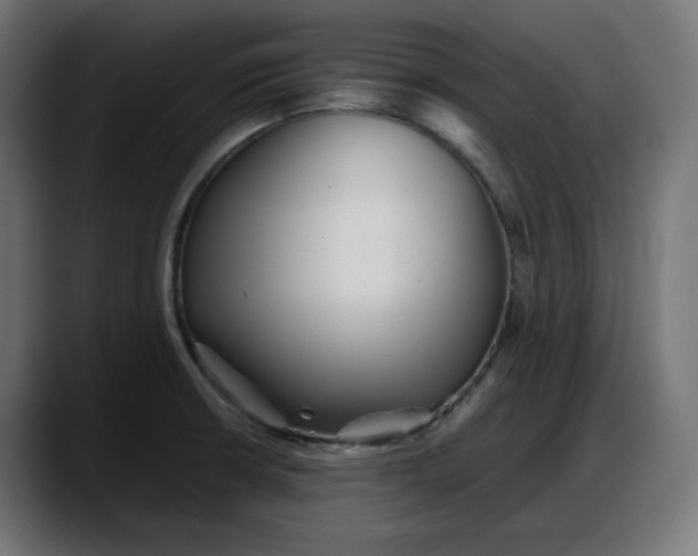 X0000087751426200705291024