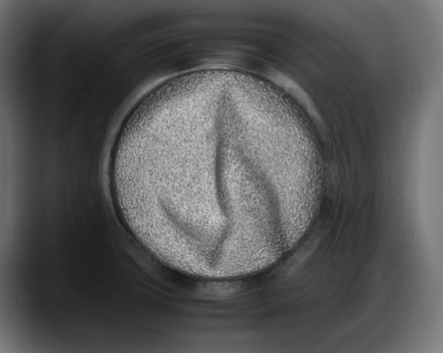 X0000087751427200705291024