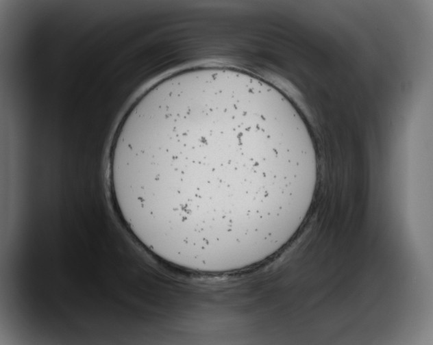 X0000087751428200705291024