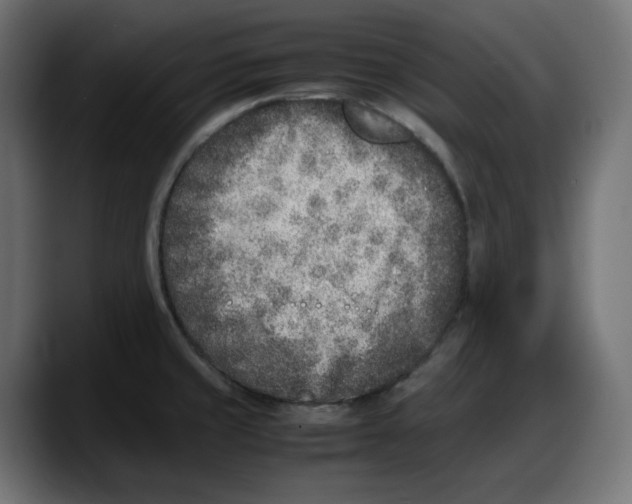 X0000087751429200705291024