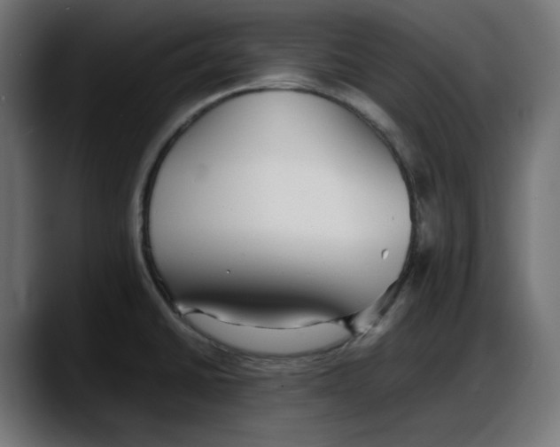 X0000087751430200705291024