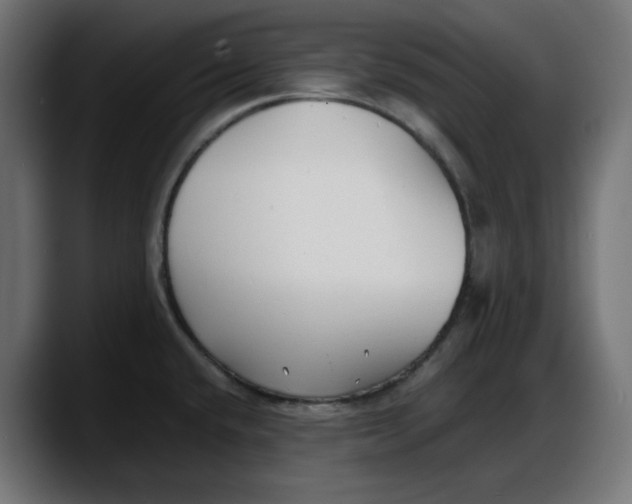 X0000087751432200705291024