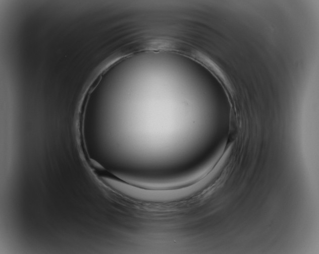 X0000087751434200705291024