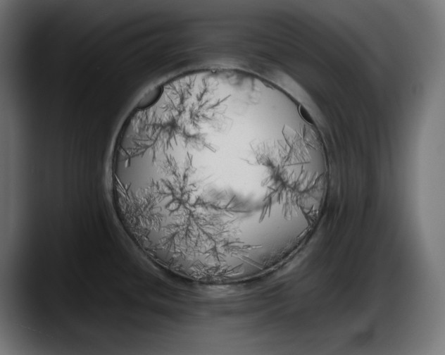 X0000087751436200705291024