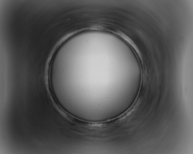 X0000087751437200705291024