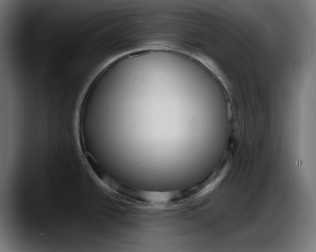 X0000087751438200705291024