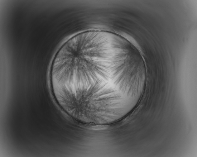 X0000087751440200705291024