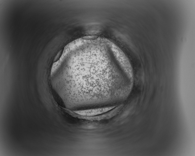 X0000087751441200705291024