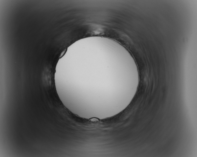 X0000087751442200705291024