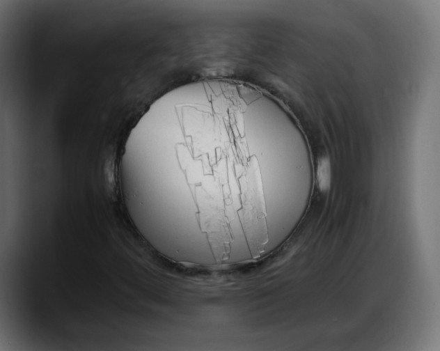 X0000087751444200705291024