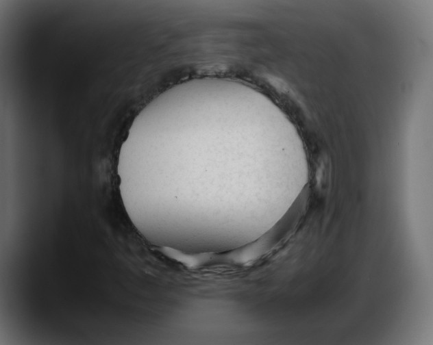 X0000087751445200705291024