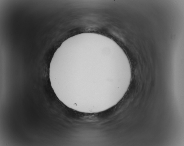 X0000087751447200705291024