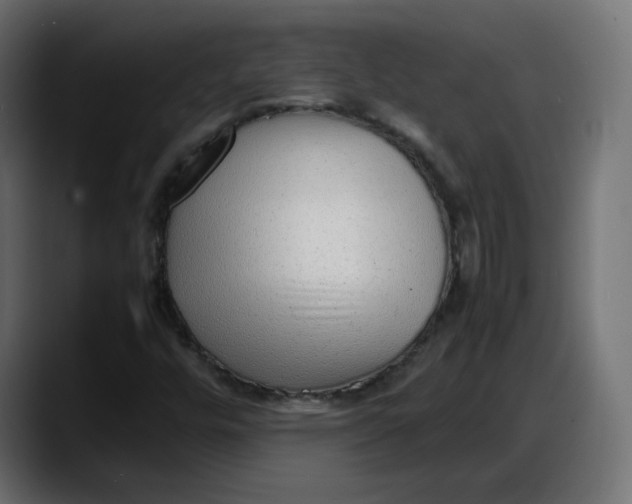 X0000087751448200705291024