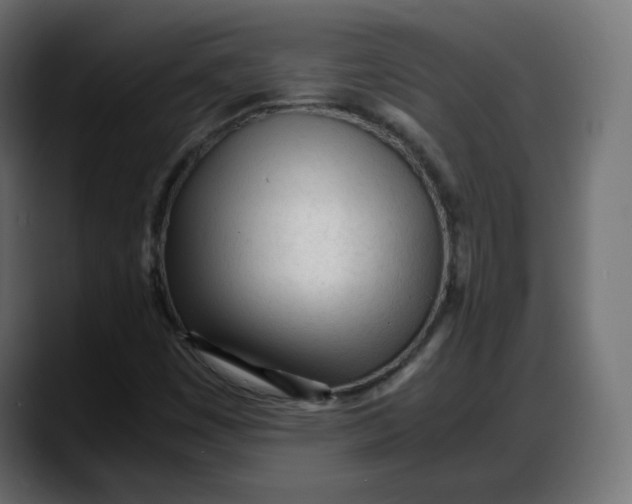 X0000087751449200705291024