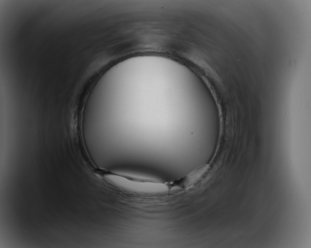 X0000087751450200705291024