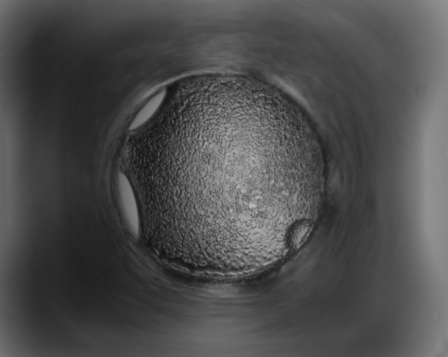 X0000087751455200705291024