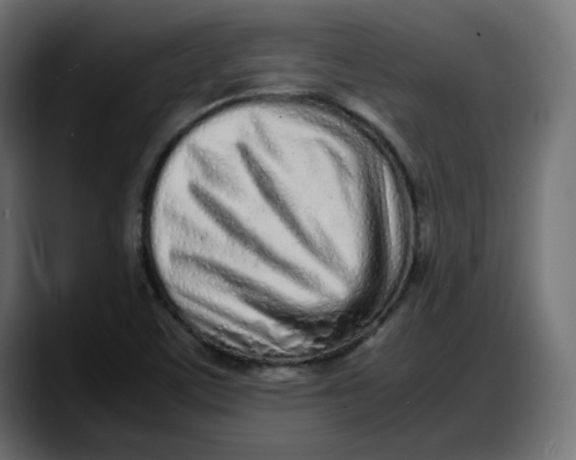 X0000087751459200705291023