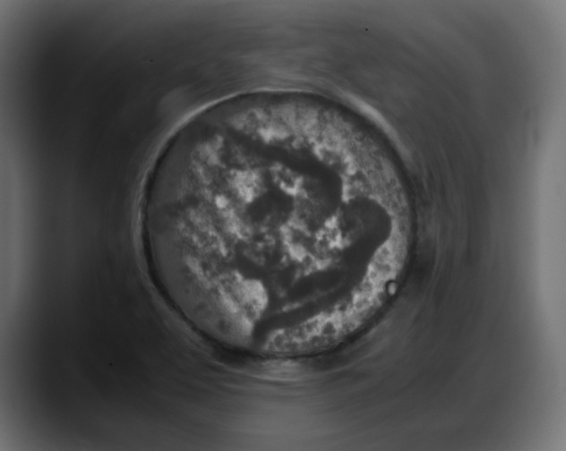 X0000087751463200705291023