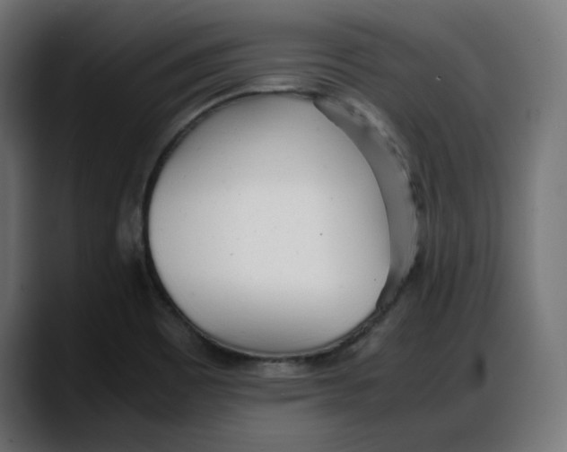 X0000087751465200705291023