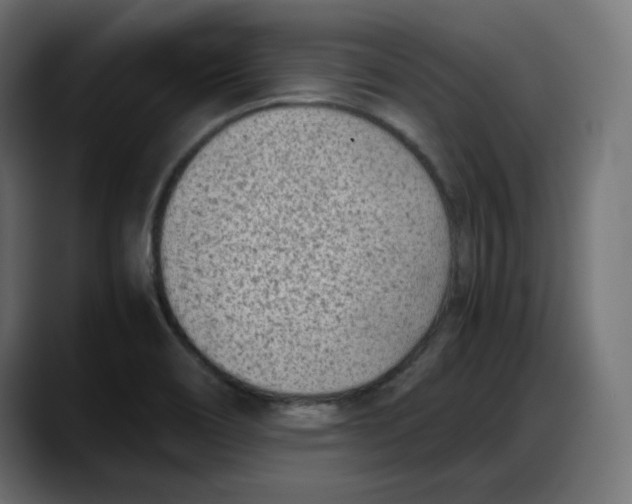 X0000087751466200705291023