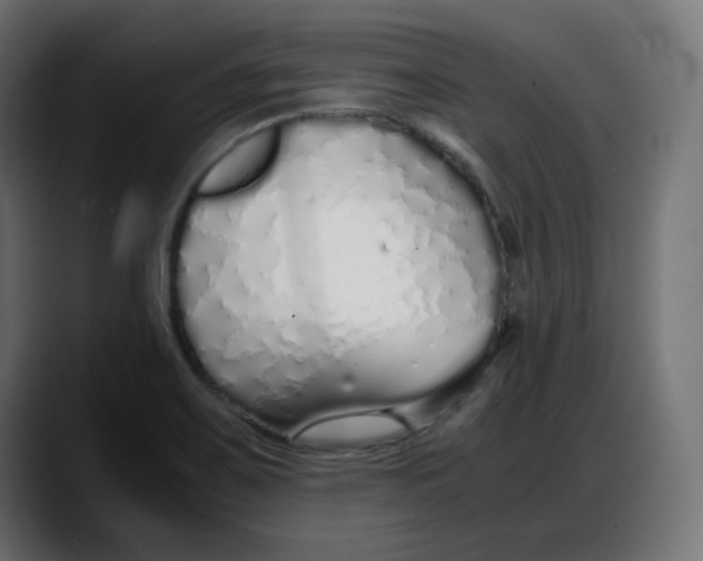 X0000087751467200705291023