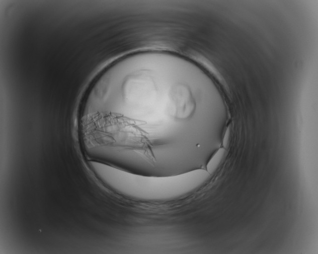 X0000087751468200705291023