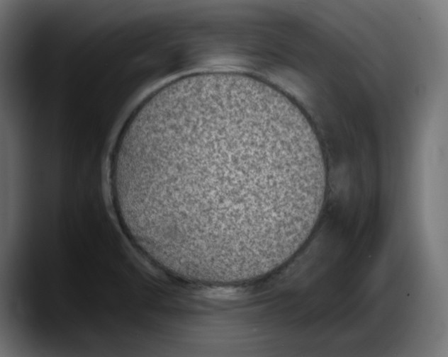 X0000087751470200705291023