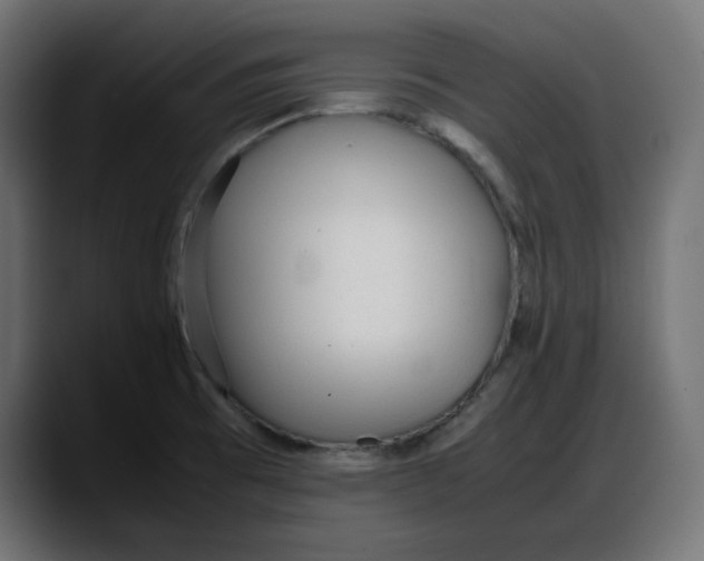 X0000087751473200705291023