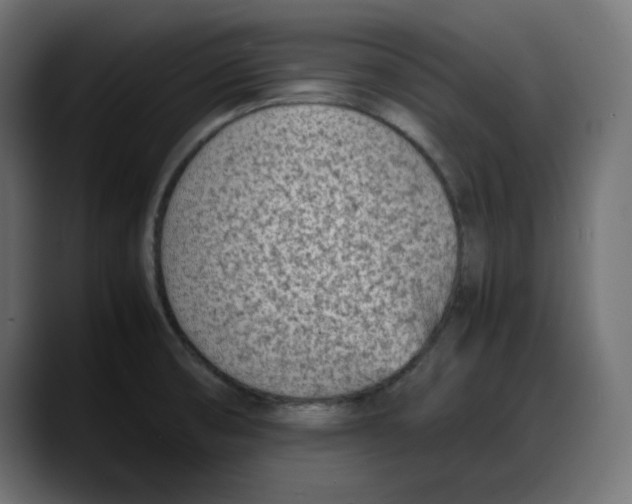 X0000087751474200705291023