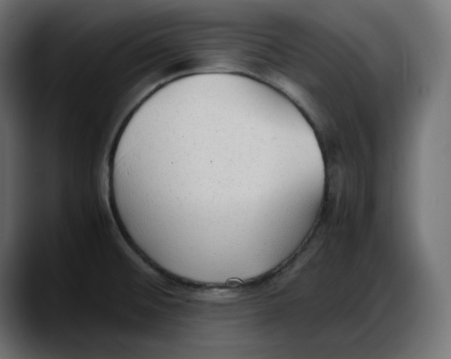 X0000087751476200705291023