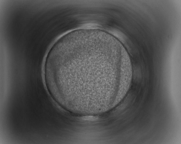 X0000087751478200705291023