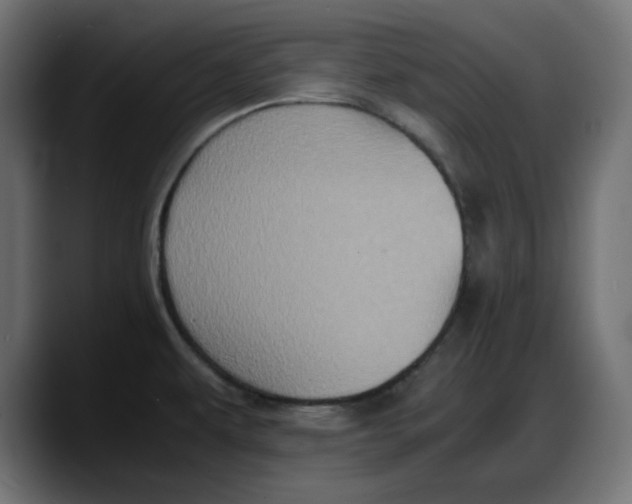 X0000087751479200705291023