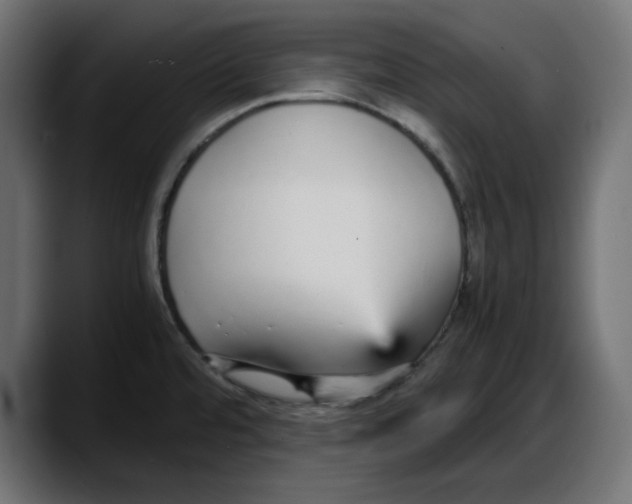 X0000087751480200705291023