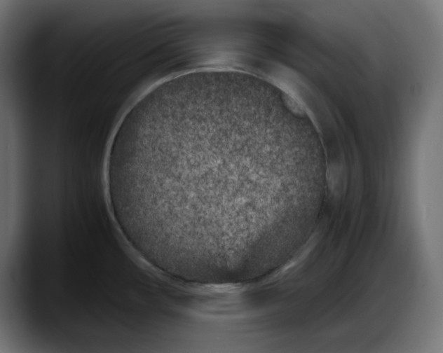 X0000087751482200705291023