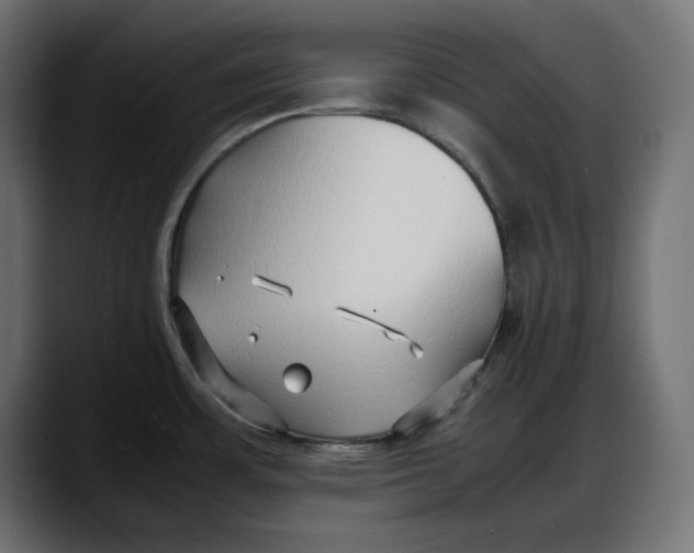 X0000087751483200705291023