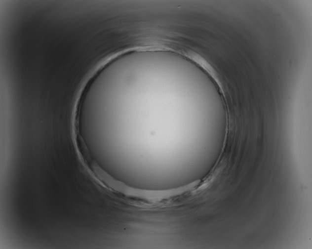 X0000087751485200705291023