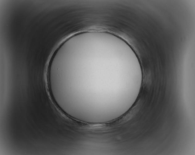 X0000087751486200705291023