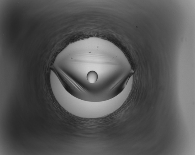 X0000087751489200705291022