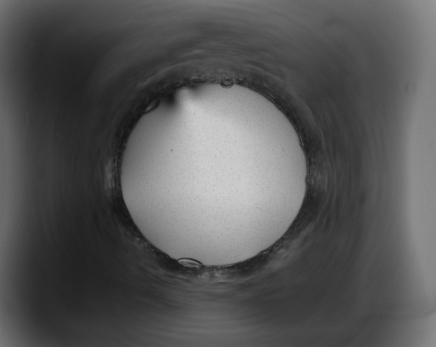 X0000087751490200705291022